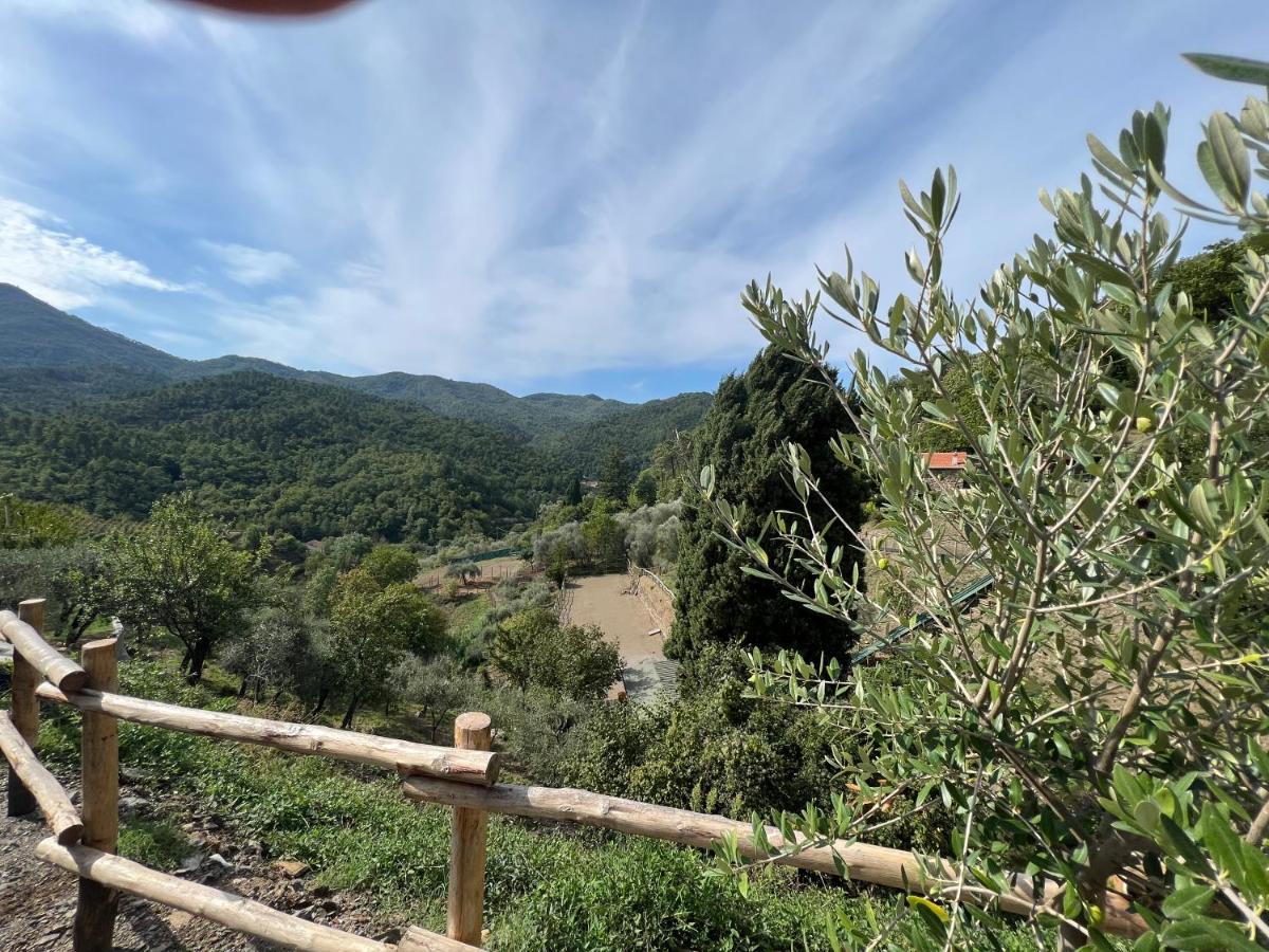 Agriturismo Torsivi Castiglione Chiavarese المظهر الخارجي الصورة
