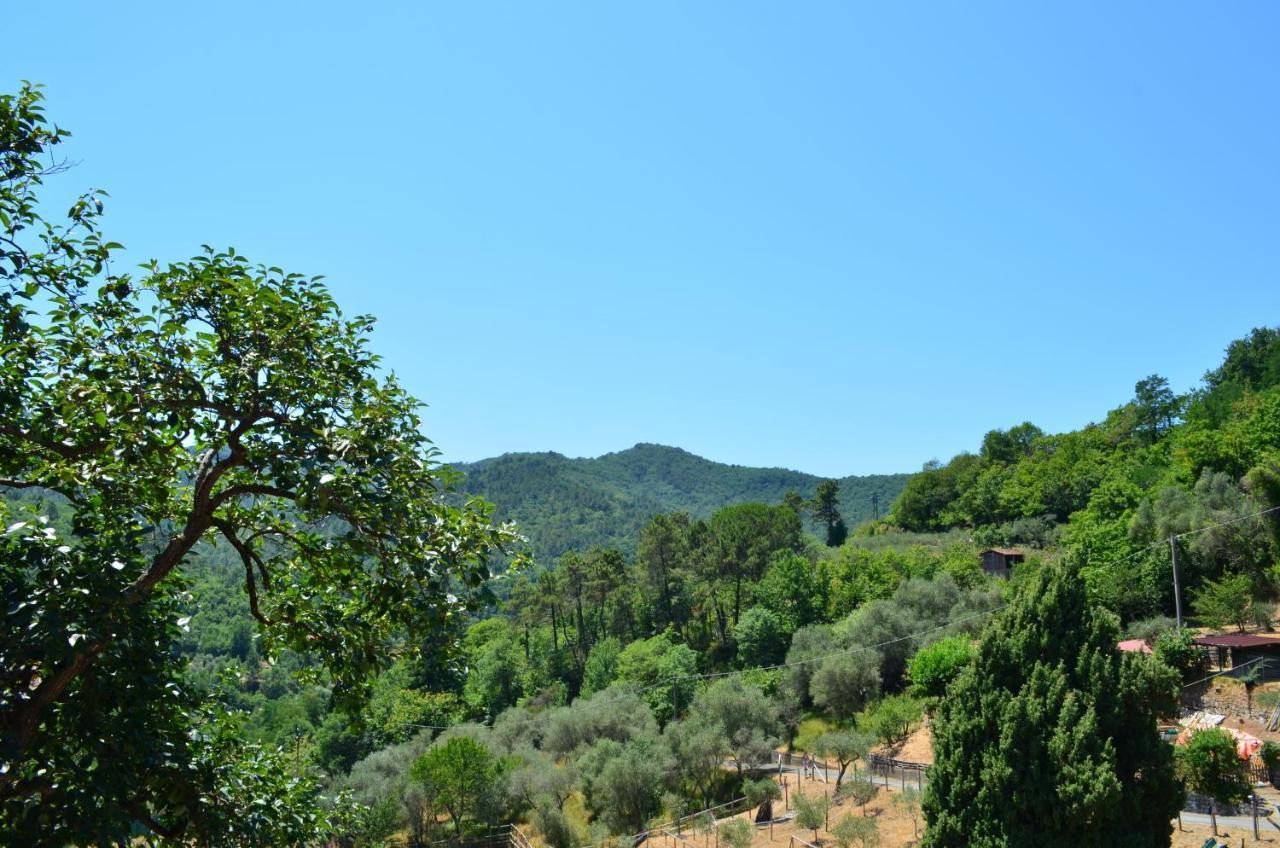 Agriturismo Torsivi Castiglione Chiavarese المظهر الخارجي الصورة