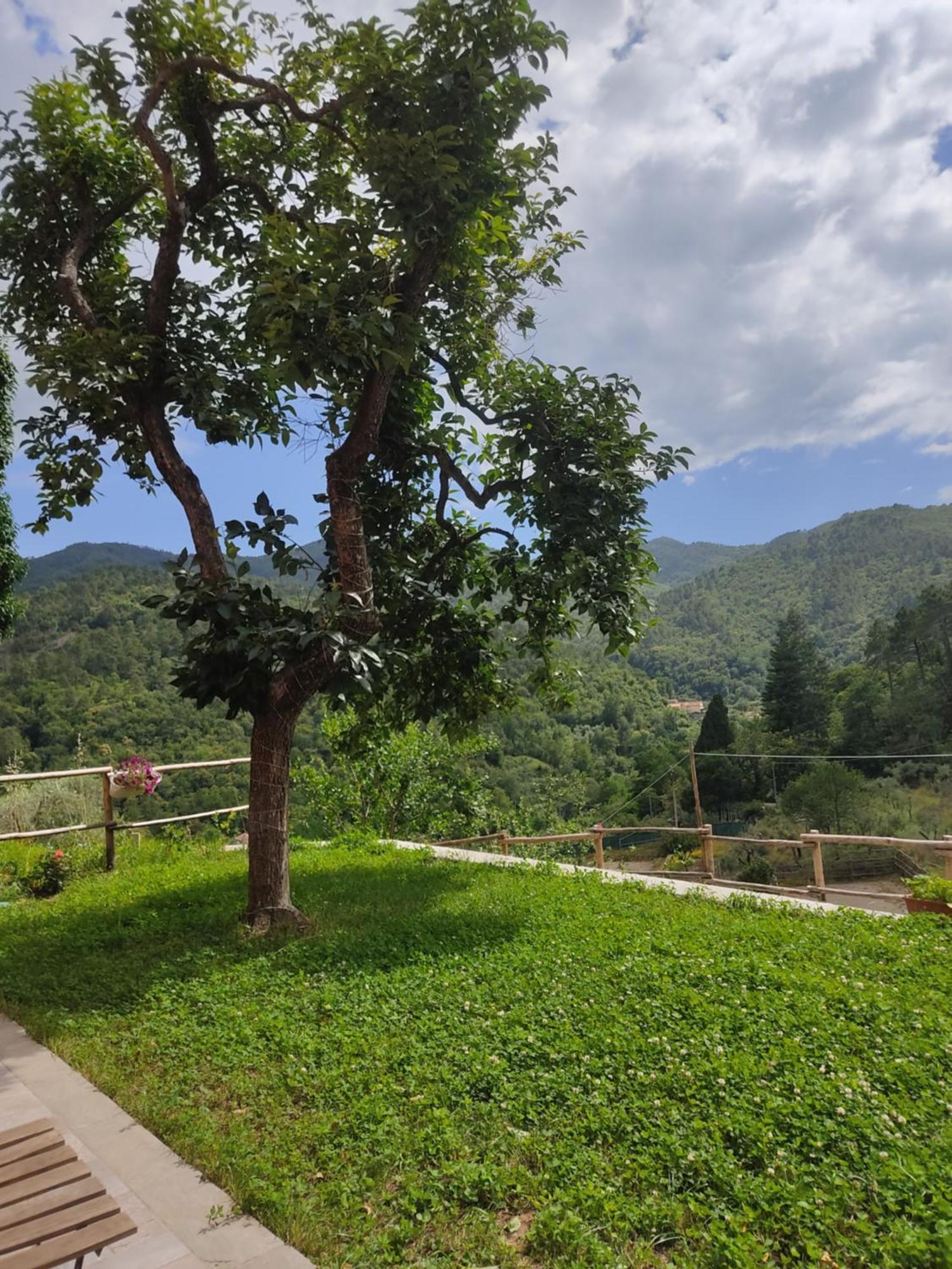 Agriturismo Torsivi Castiglione Chiavarese المظهر الخارجي الصورة